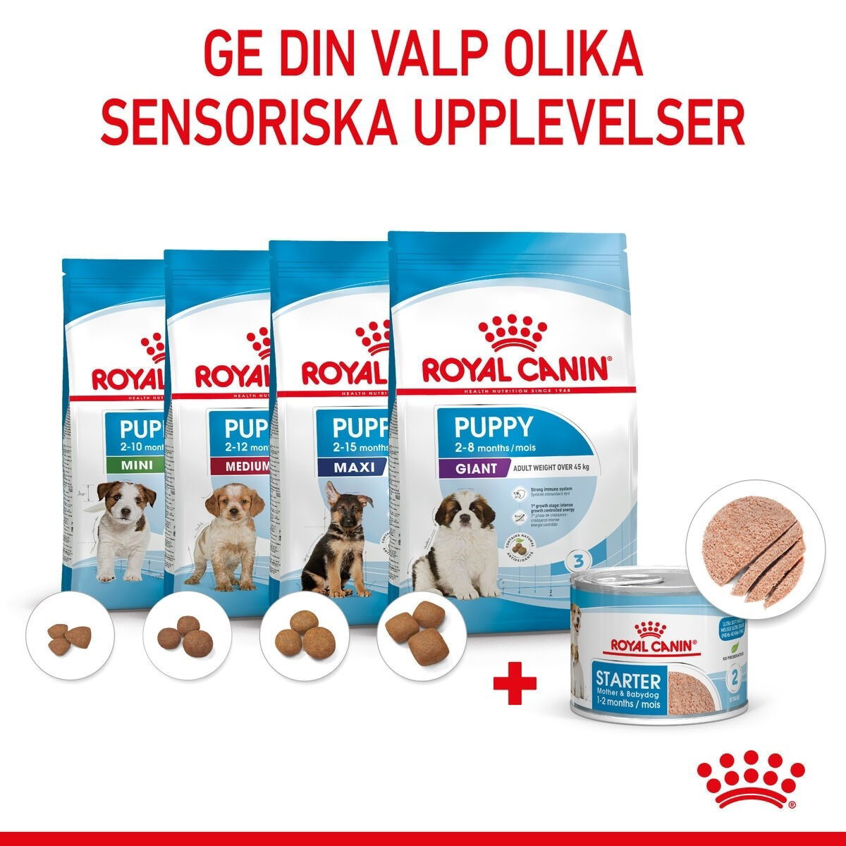 Royal Canin Mother & Babydog Starter Mousse våtfoder för hund och hundvalp