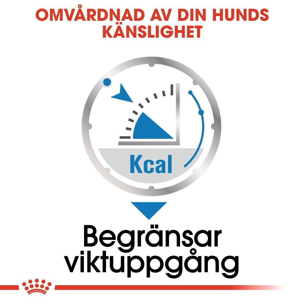 Royal Canin Light Weight Care Adult Loaf våtfoder för hund