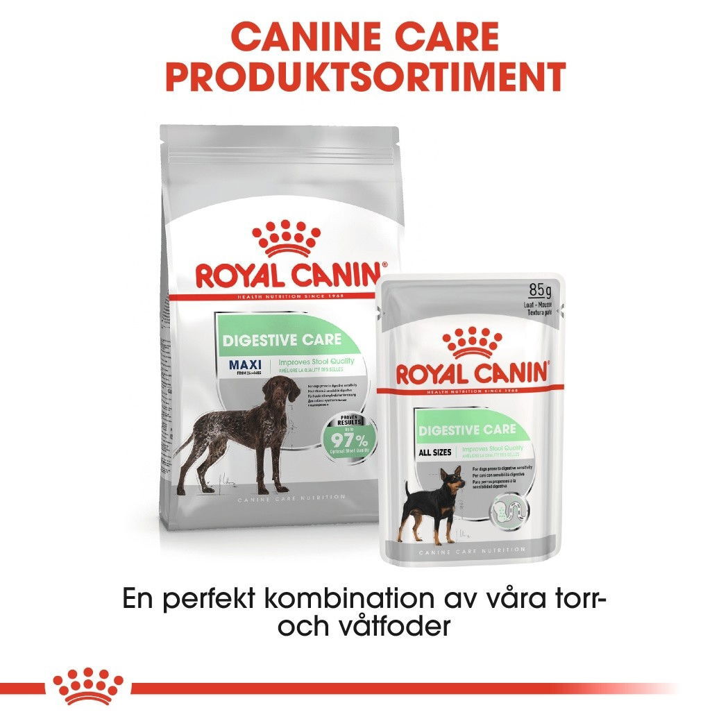 Royal Canin Maxi Digestive Care