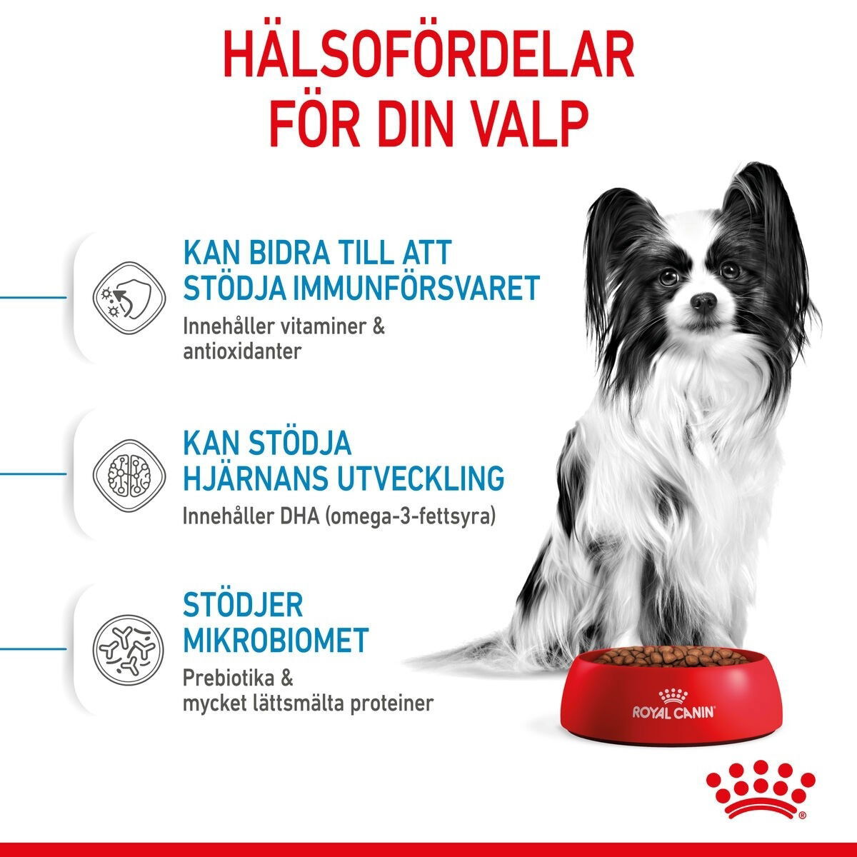 Royal Canin X-small Puppy torrfoder för hundvalp