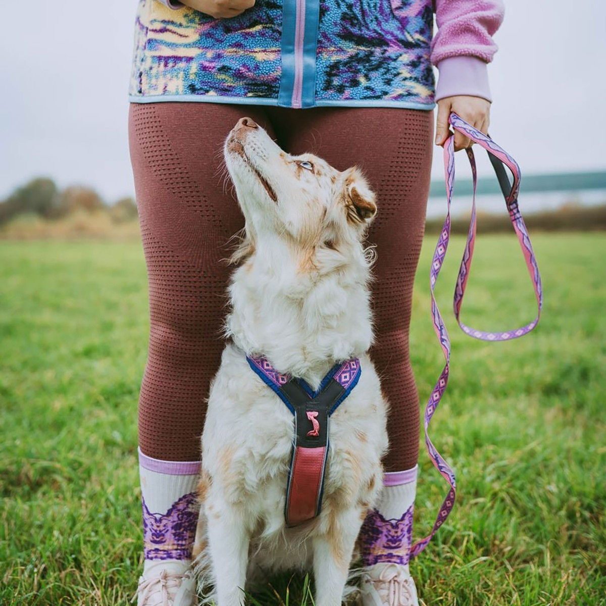 Non-stop Trail quest leash RP 15mm/2m