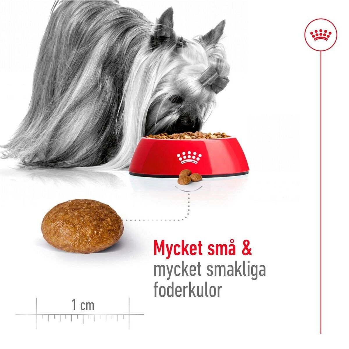 Royal Canin XSmall Adult +8