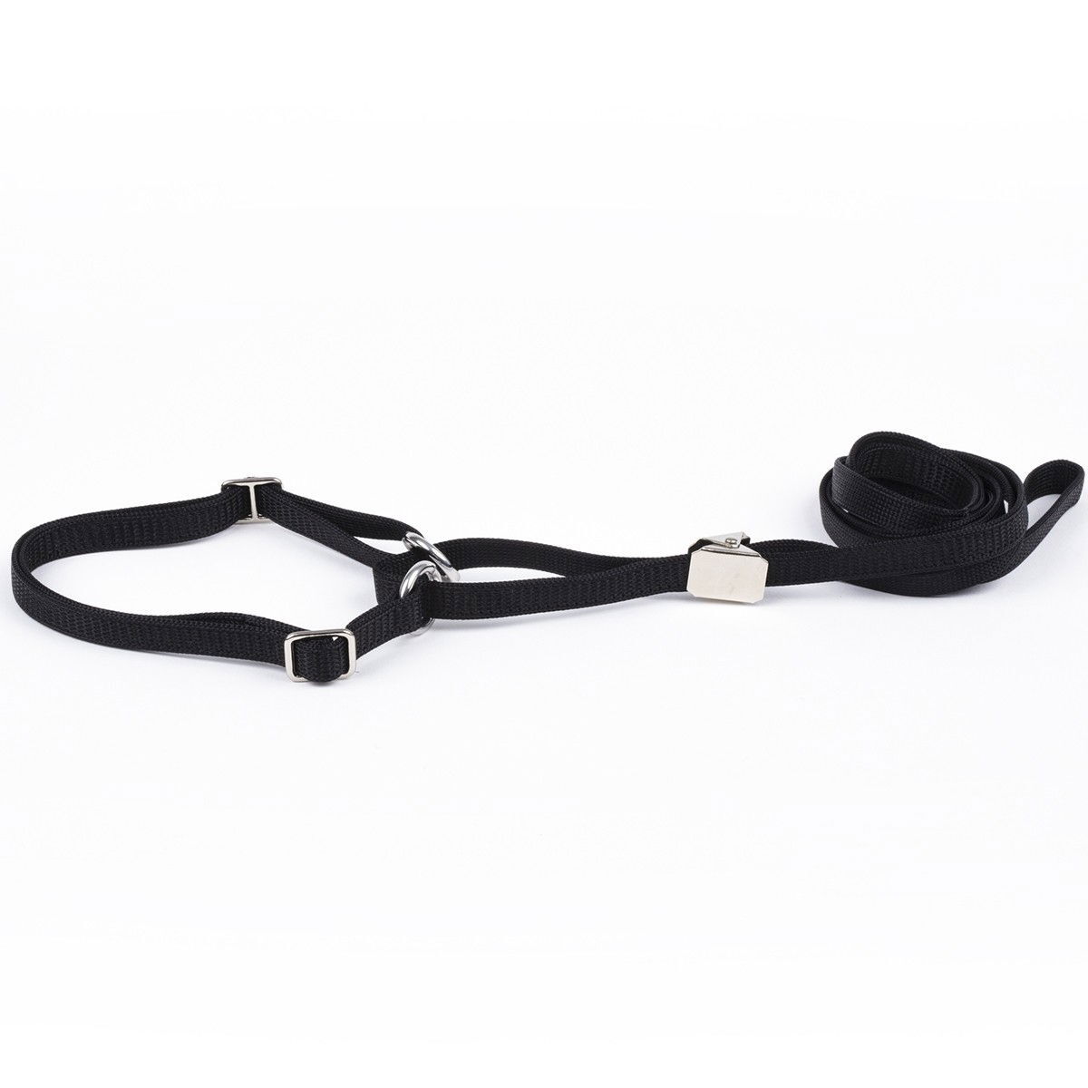 Show Dog Show lead Flat with adjustable half choke collar and clip, black