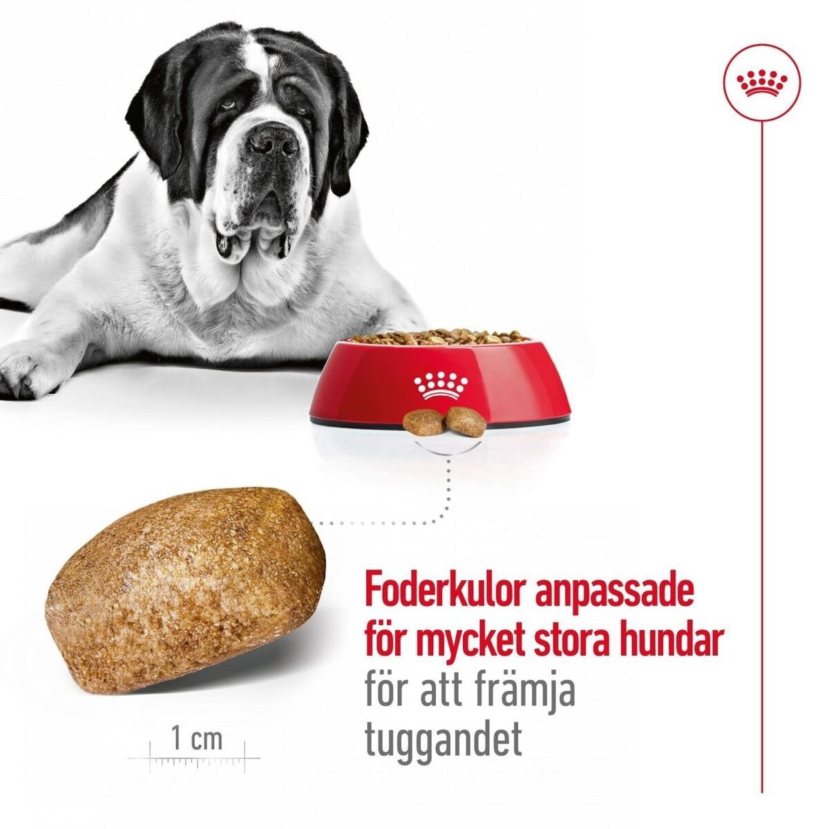 Royal Canin Giant Adult torrfoder för hund