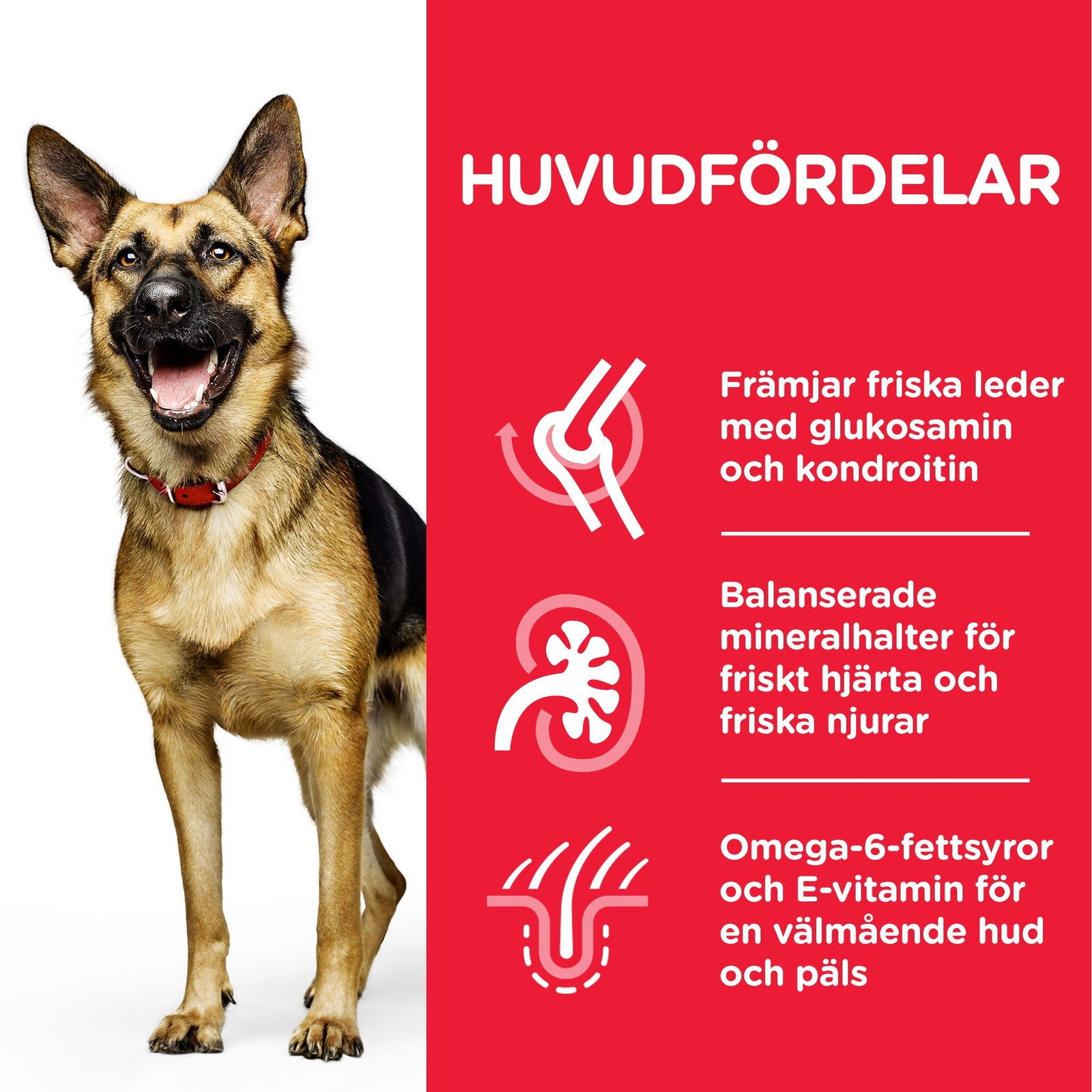 Hill's Science Plan Dog Mature Large Breed Chicken