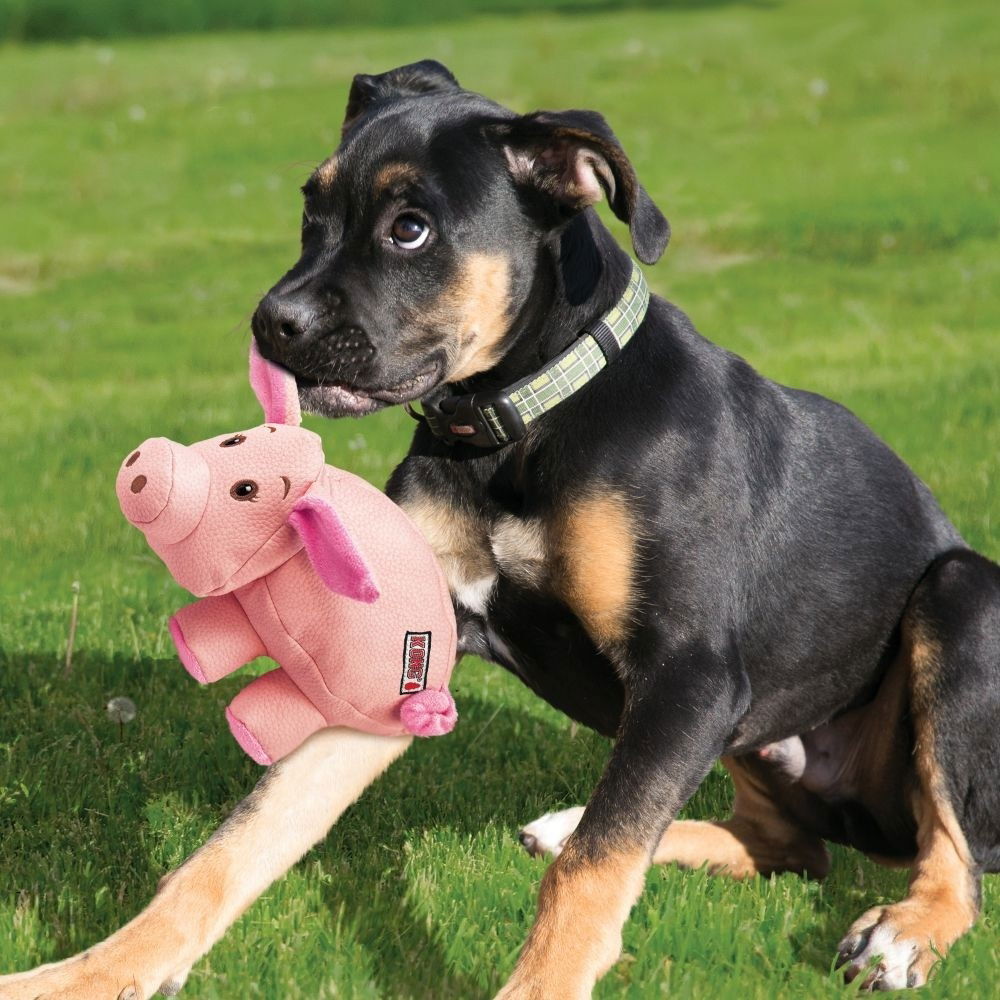 KONG Phatz Pig XS