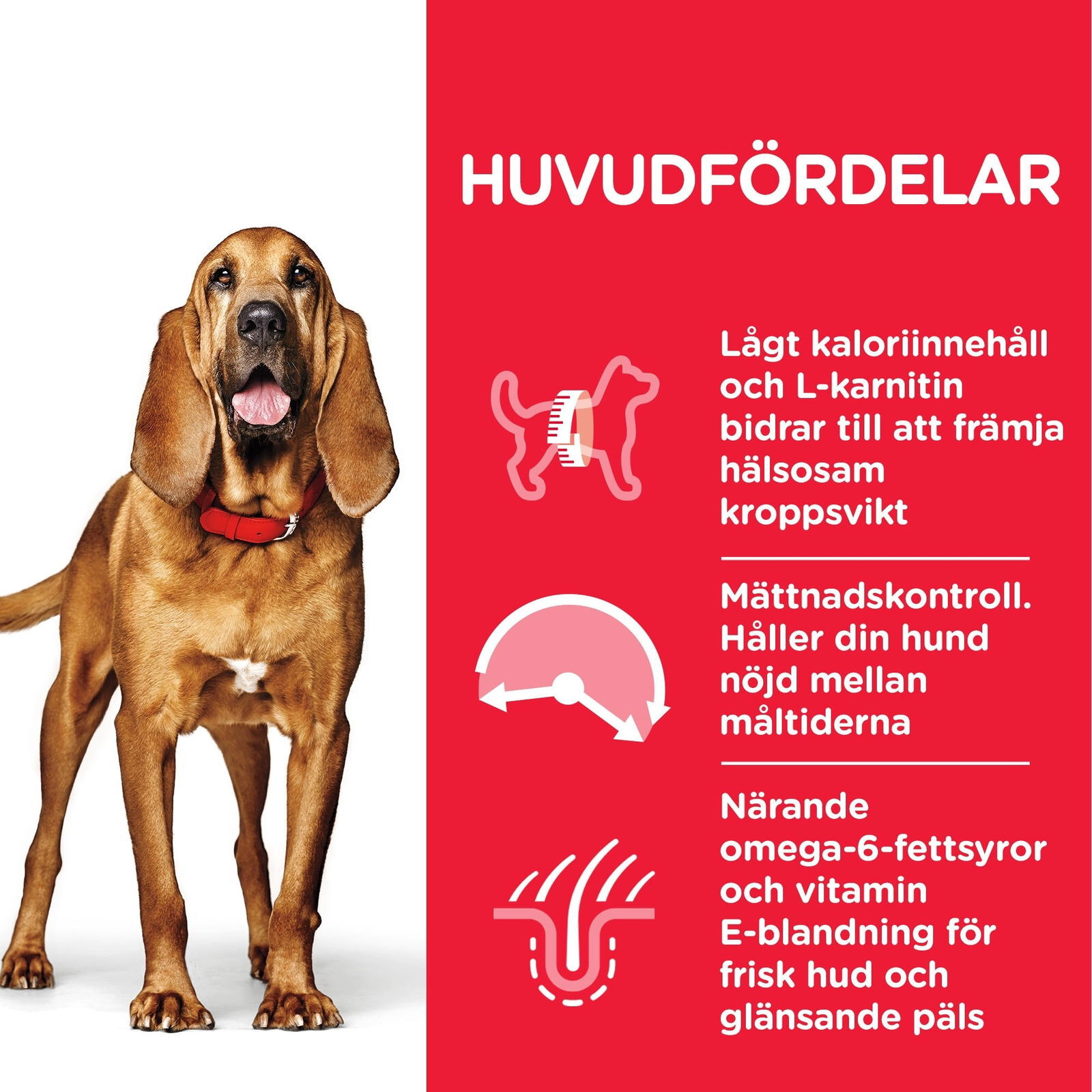 Hill's Science Plan Canine Mature Light Medium Chicken 