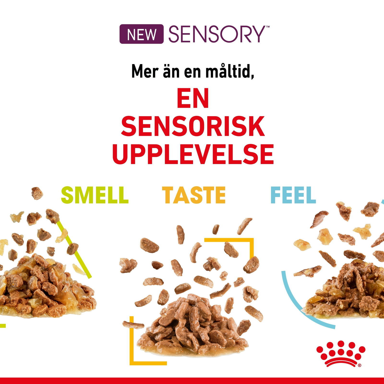 Royal Canin Sensory Mixed Box Gravy Adult våtfoder för katt