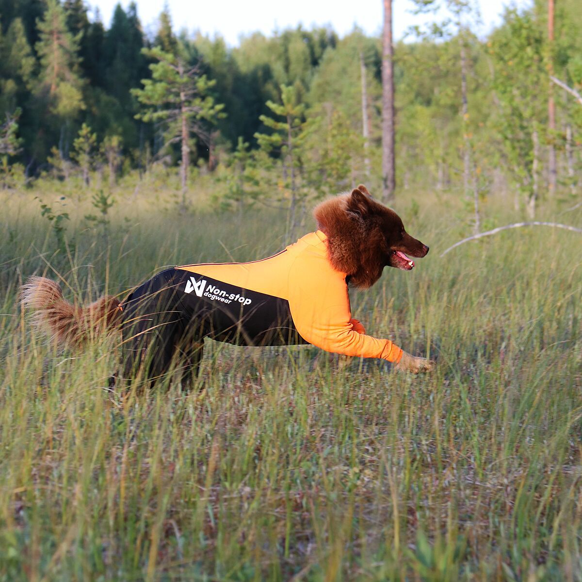 Non-stop dogwear Protector suit F orange/black