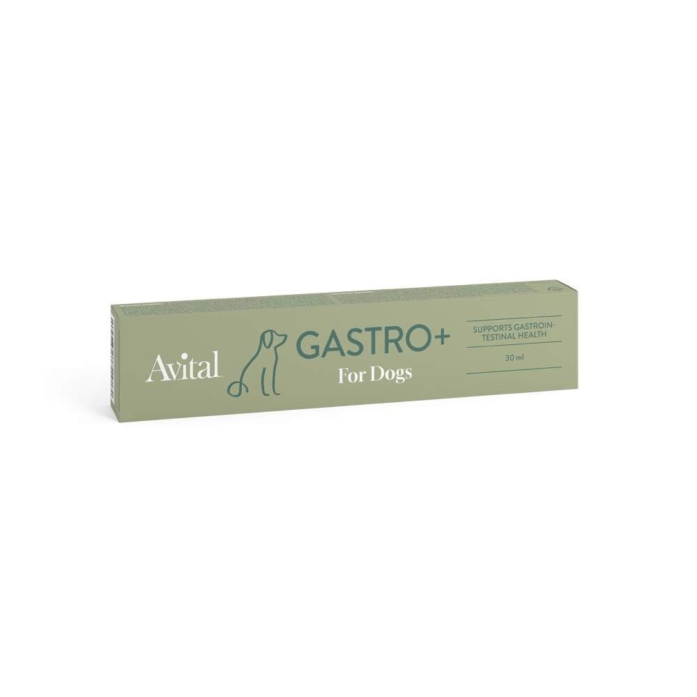 Avital Gastro+