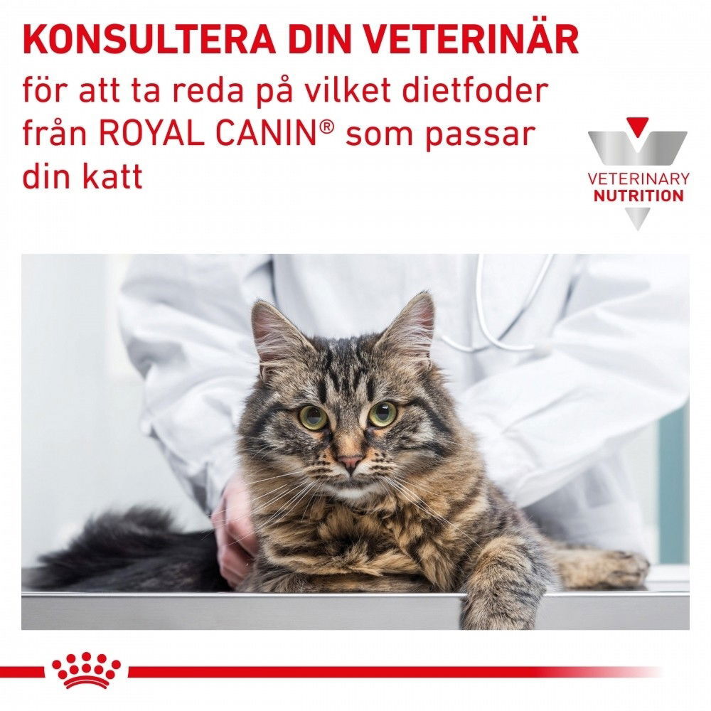 Royal Canin Veterinary Diets Vital Early Renal våtfoder för katt