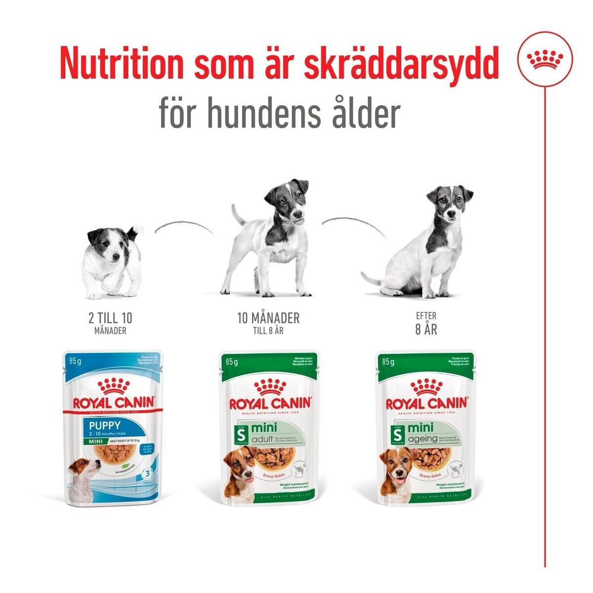 Royal  Canin Mini Adult Gravy våtfoder för hund