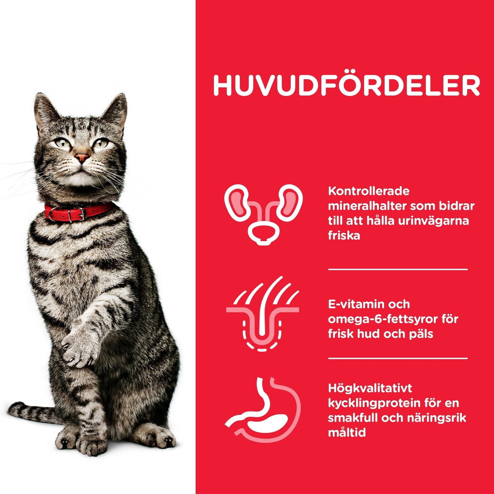 Hill's Science Plan Cat Urinary Sterilised