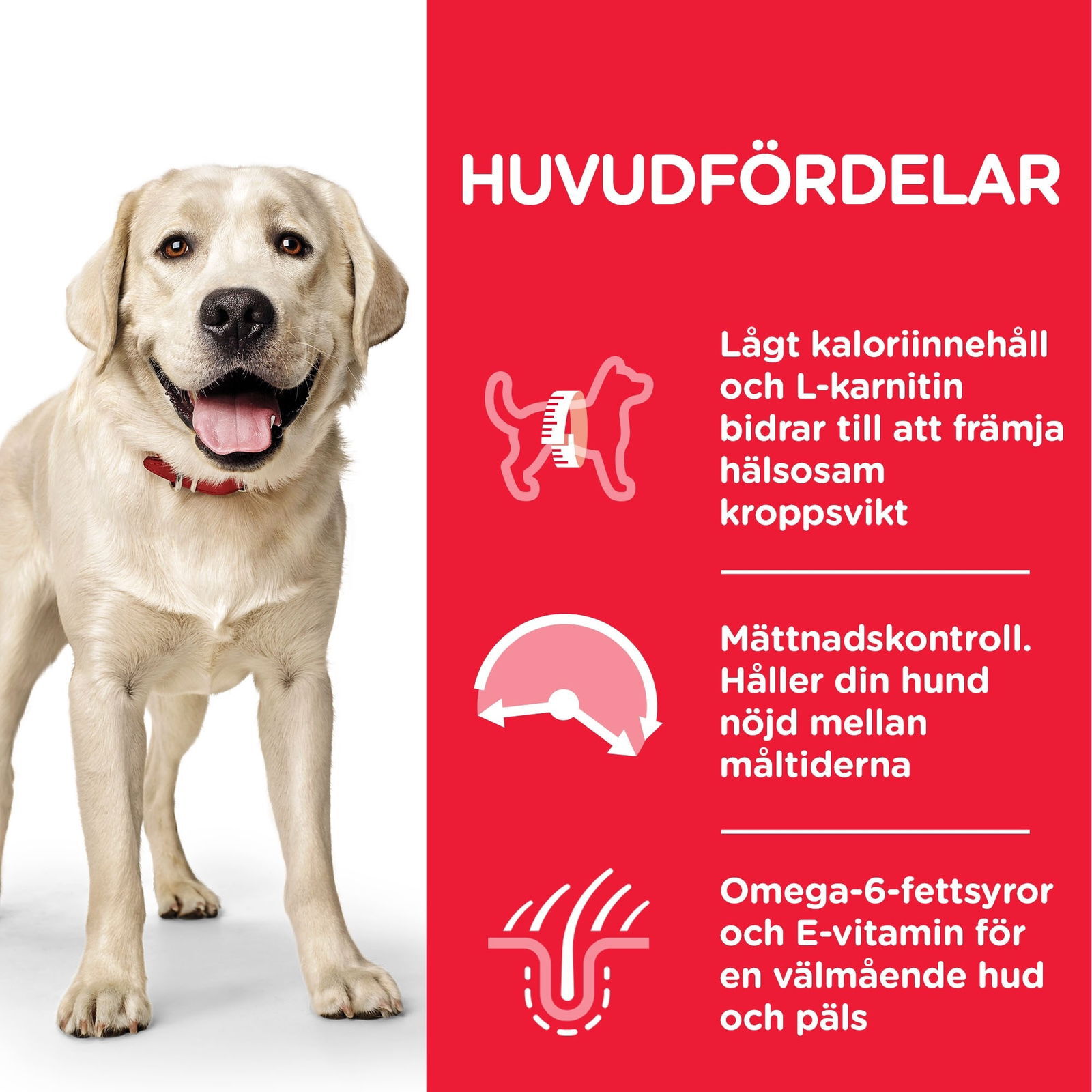 Hill's Science Plan Dog Adult Large Breed Light