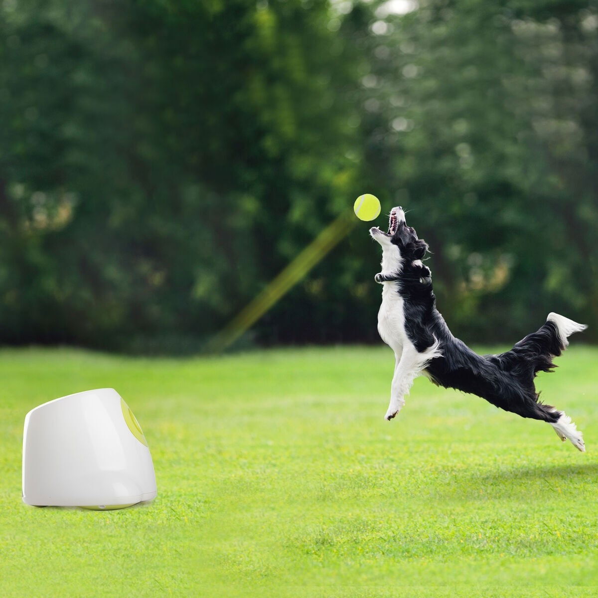 All for Paws Hyper Fetch Ball Canon Maxi for 6,5cm balls