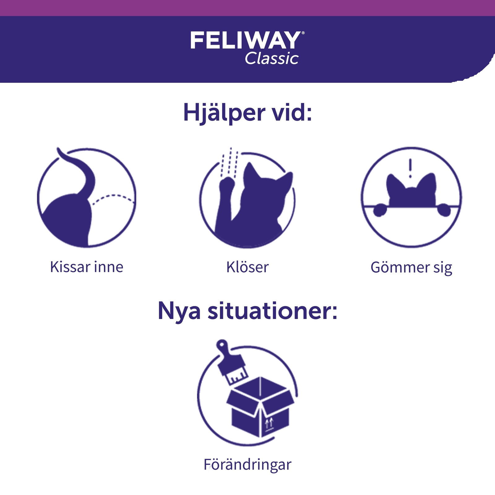 Feliway refill