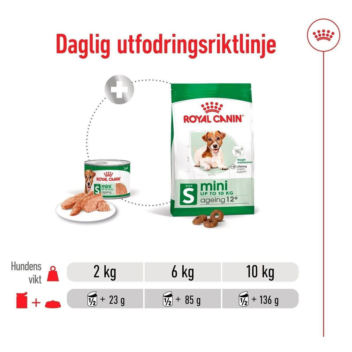 Royal Canin Mini Ageing loaf can 195g
