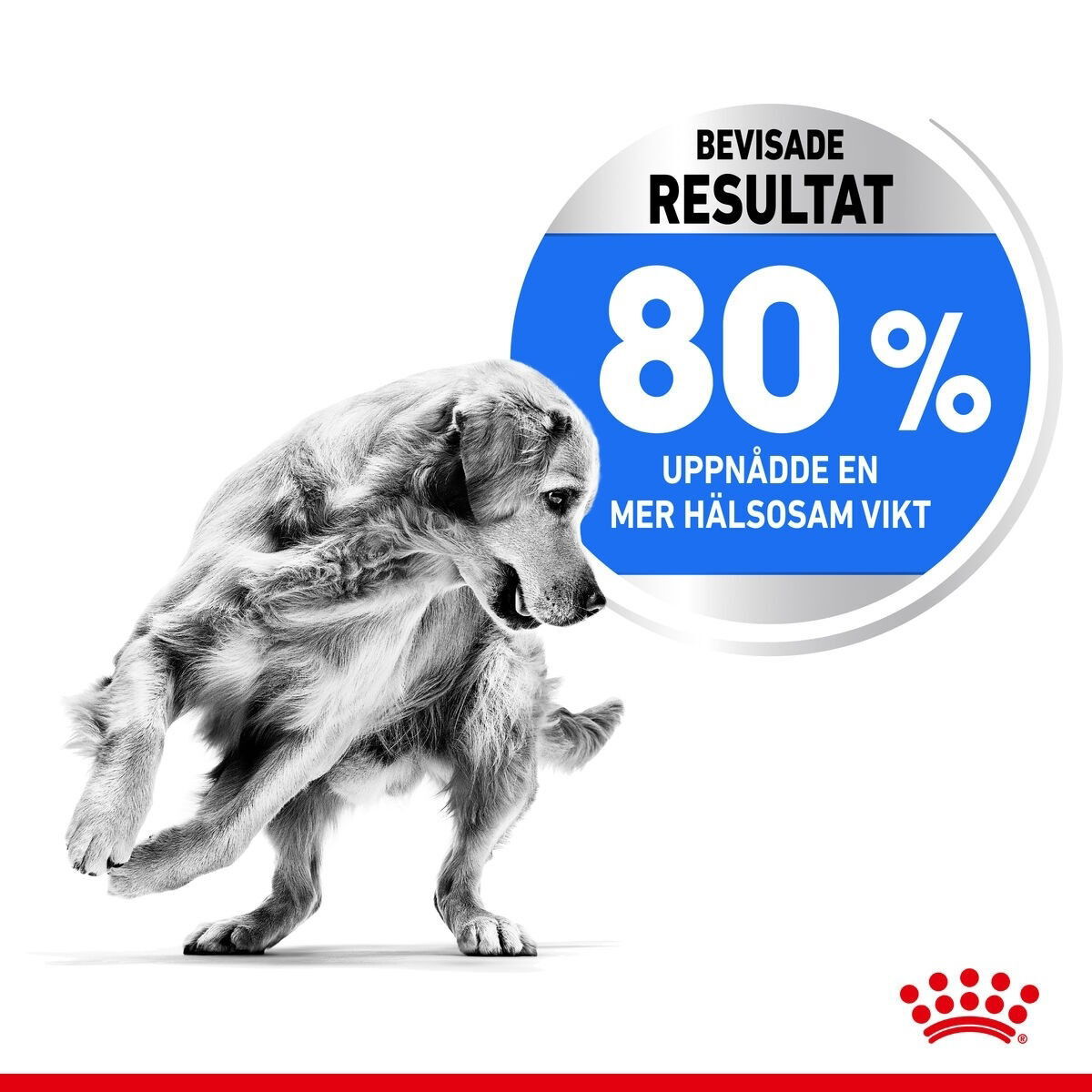 Royal Canin Light Weight Care Medium Adult torrfoder för hund