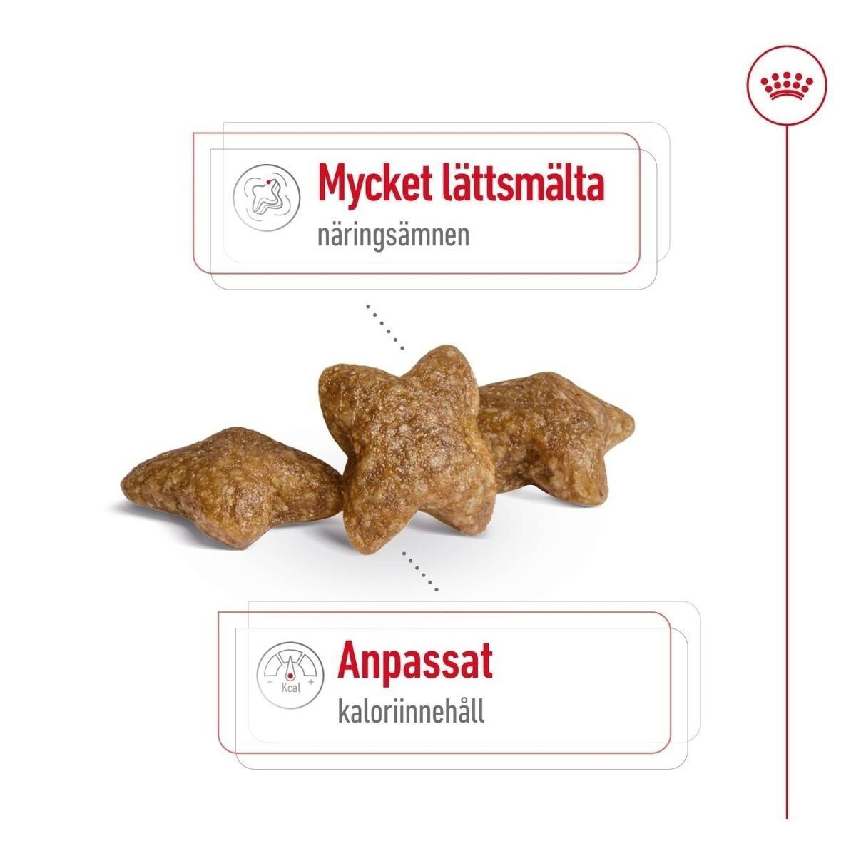 Royal Canin Mini Adult torrfoder för hund