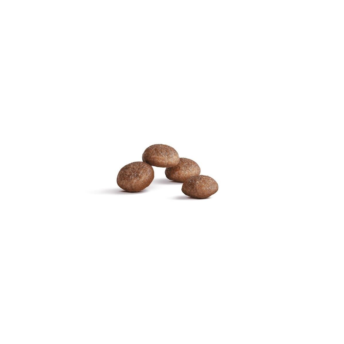Royal Canin FHN Ageing Sterilised 11+