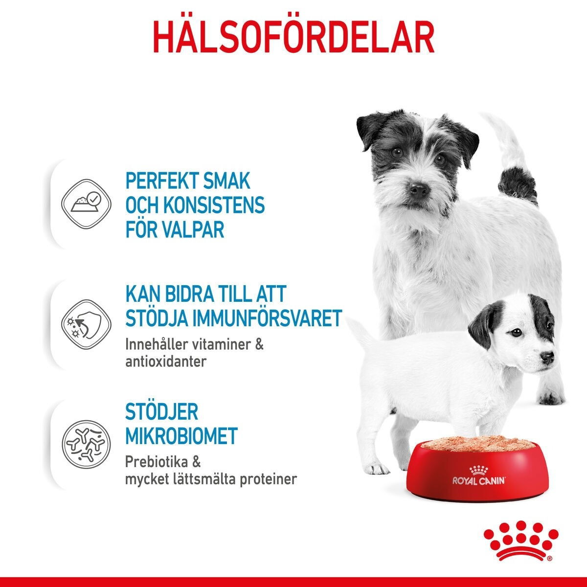 Royal Canin Mother & Babydog Starter Mousse våtfoder för hund och hundvalp