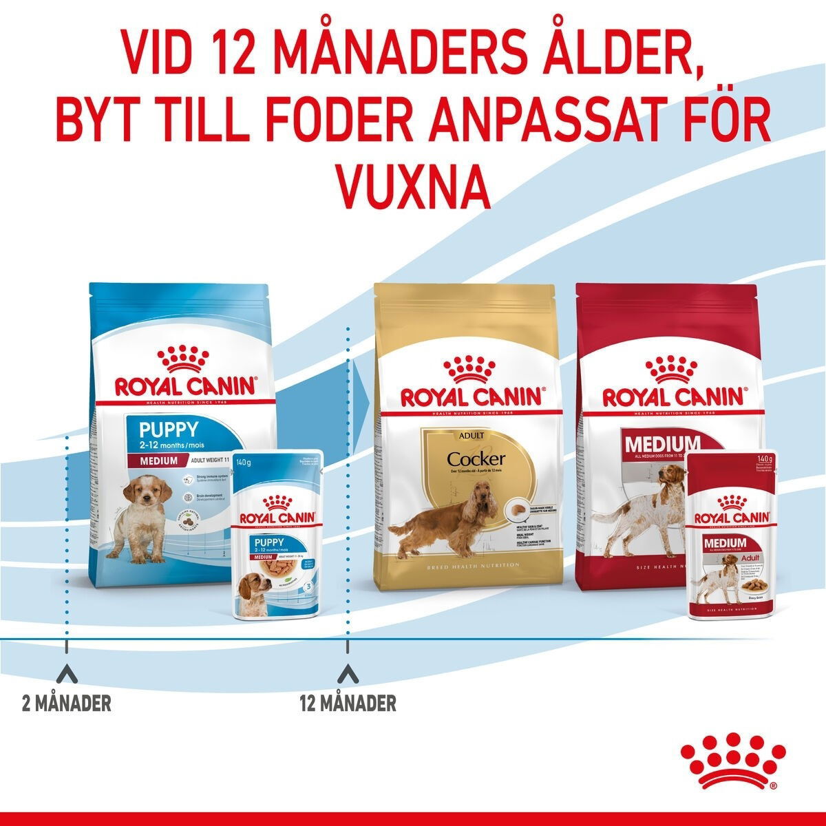 Royal Canin Medium Puppy Gravy våtfoder för hundvalp