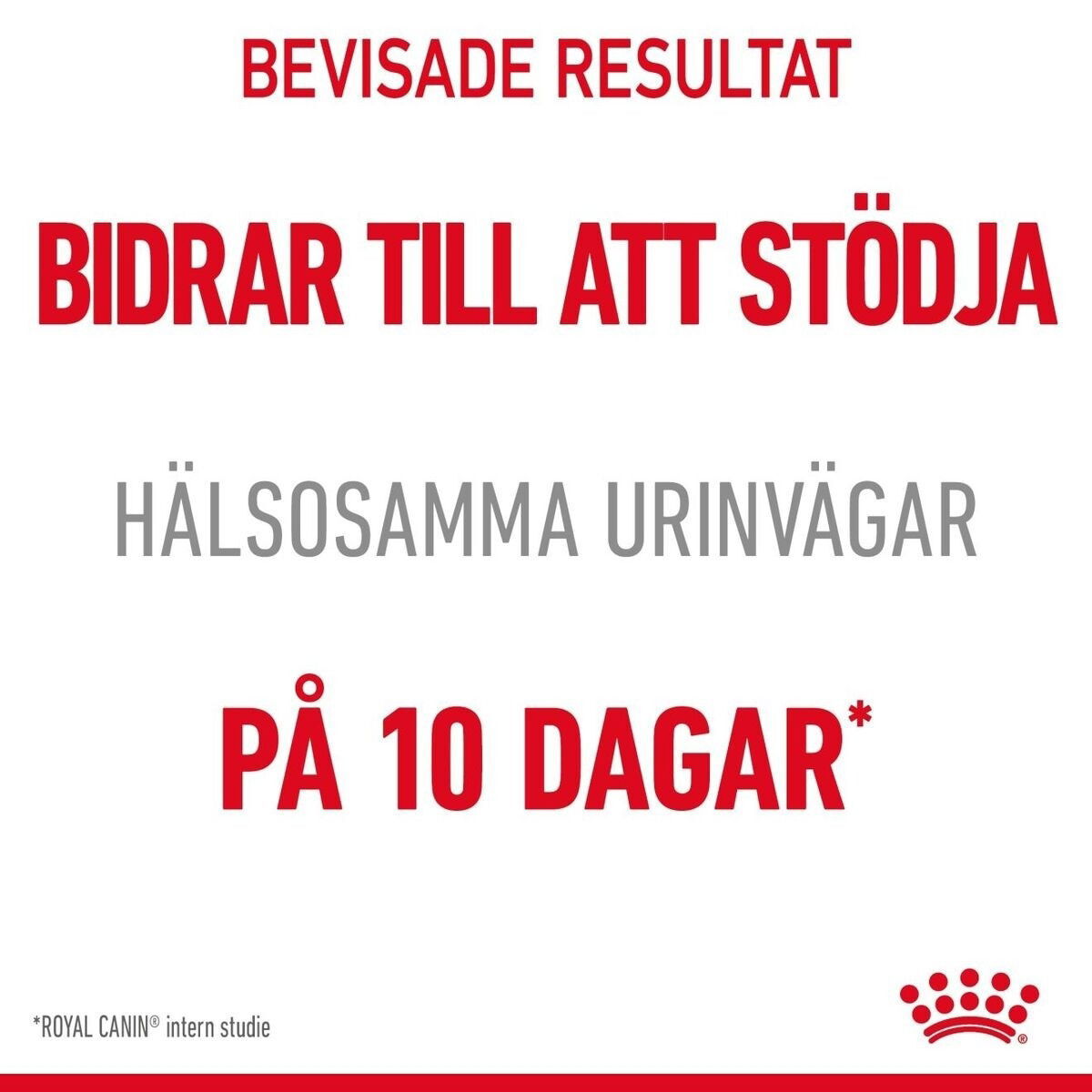Royal Canin Urinary Care Gravy Adult våtfoder för katt