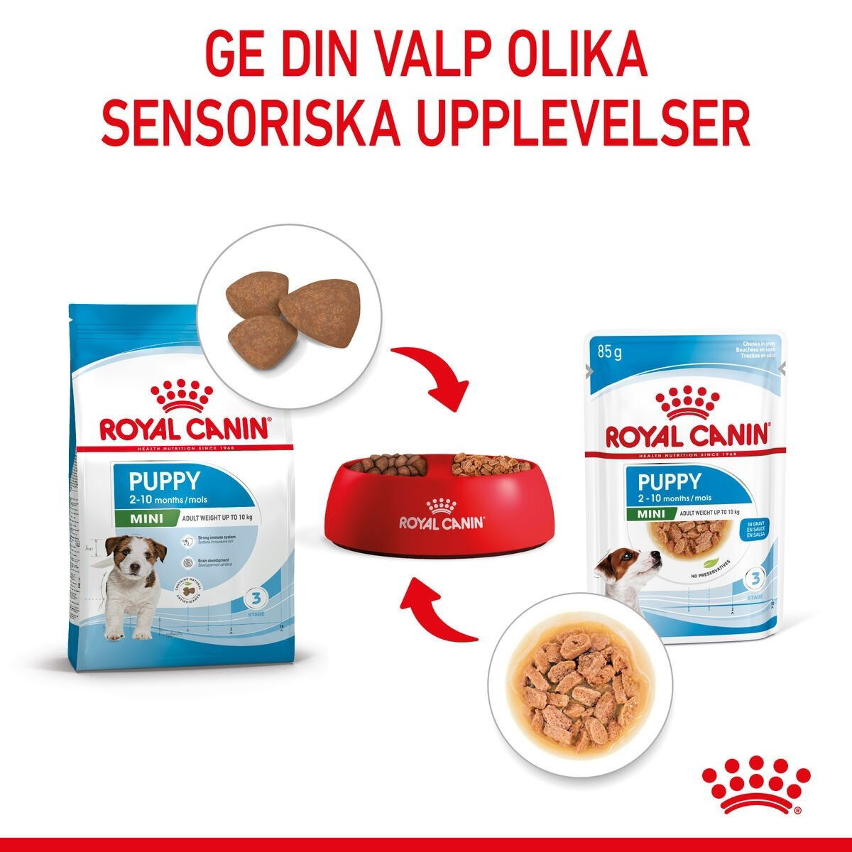 Royal Canin Mini Puppy våtfoder för hundvalp