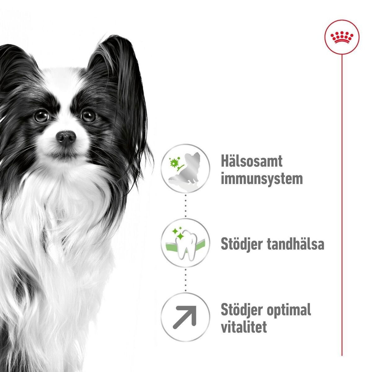 Royal Canin XSmall Adult +8