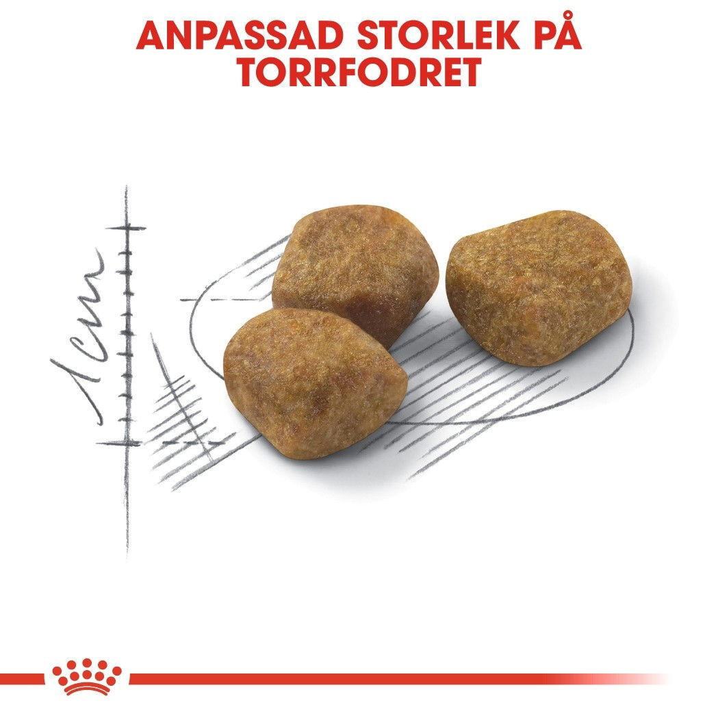 Royal Canin Indoor 7+ Ageing torrfoder för katt