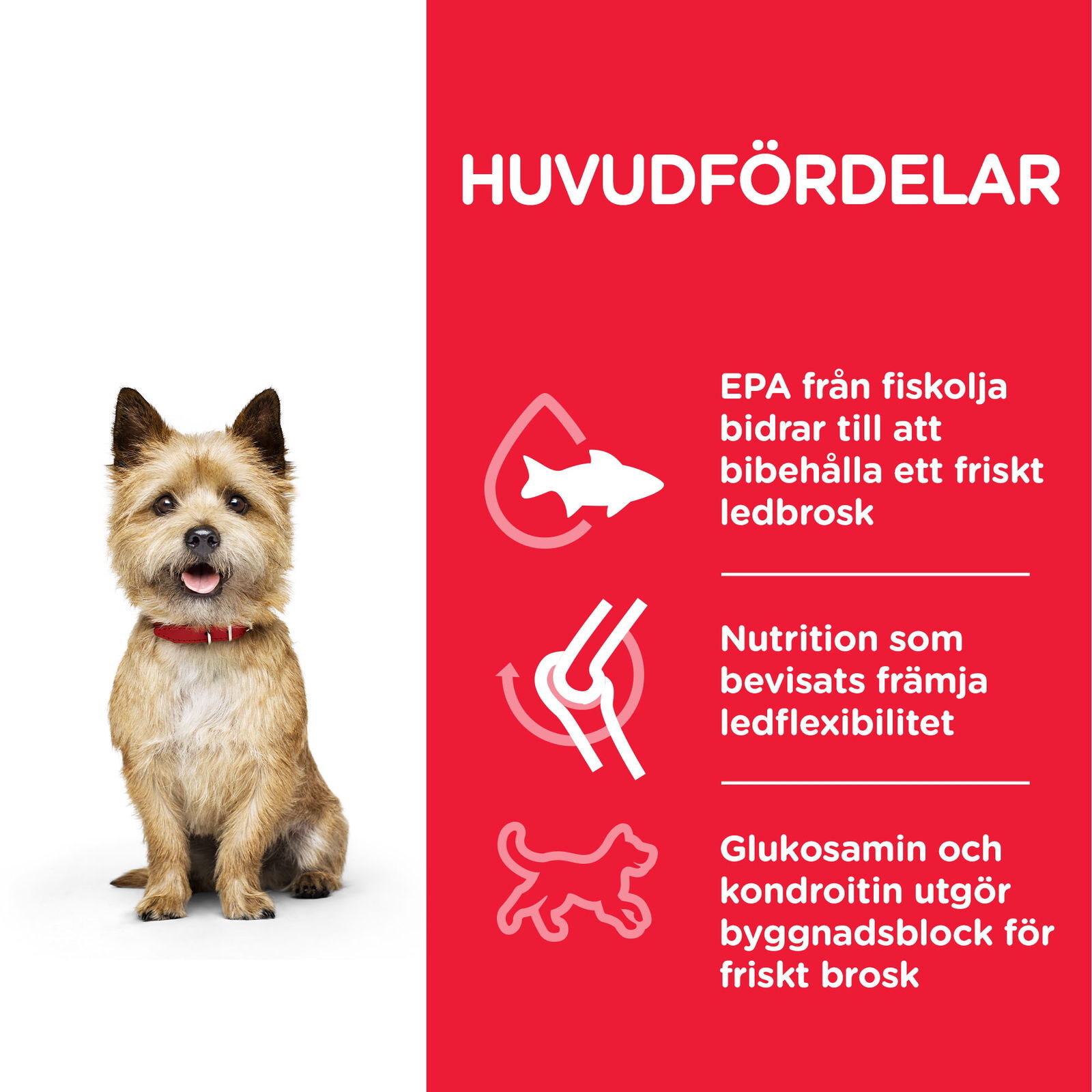 Hill's Science Plan Dog Healthy Small & Mini