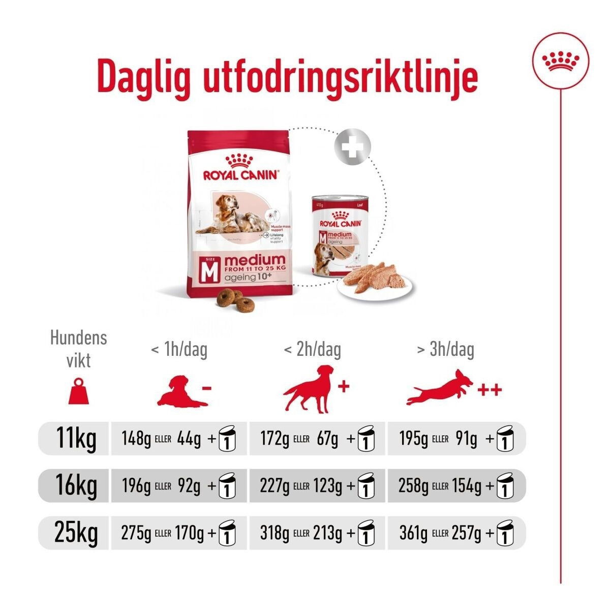 Royal Canin Medium Ageing 10+ torrfoder för hund