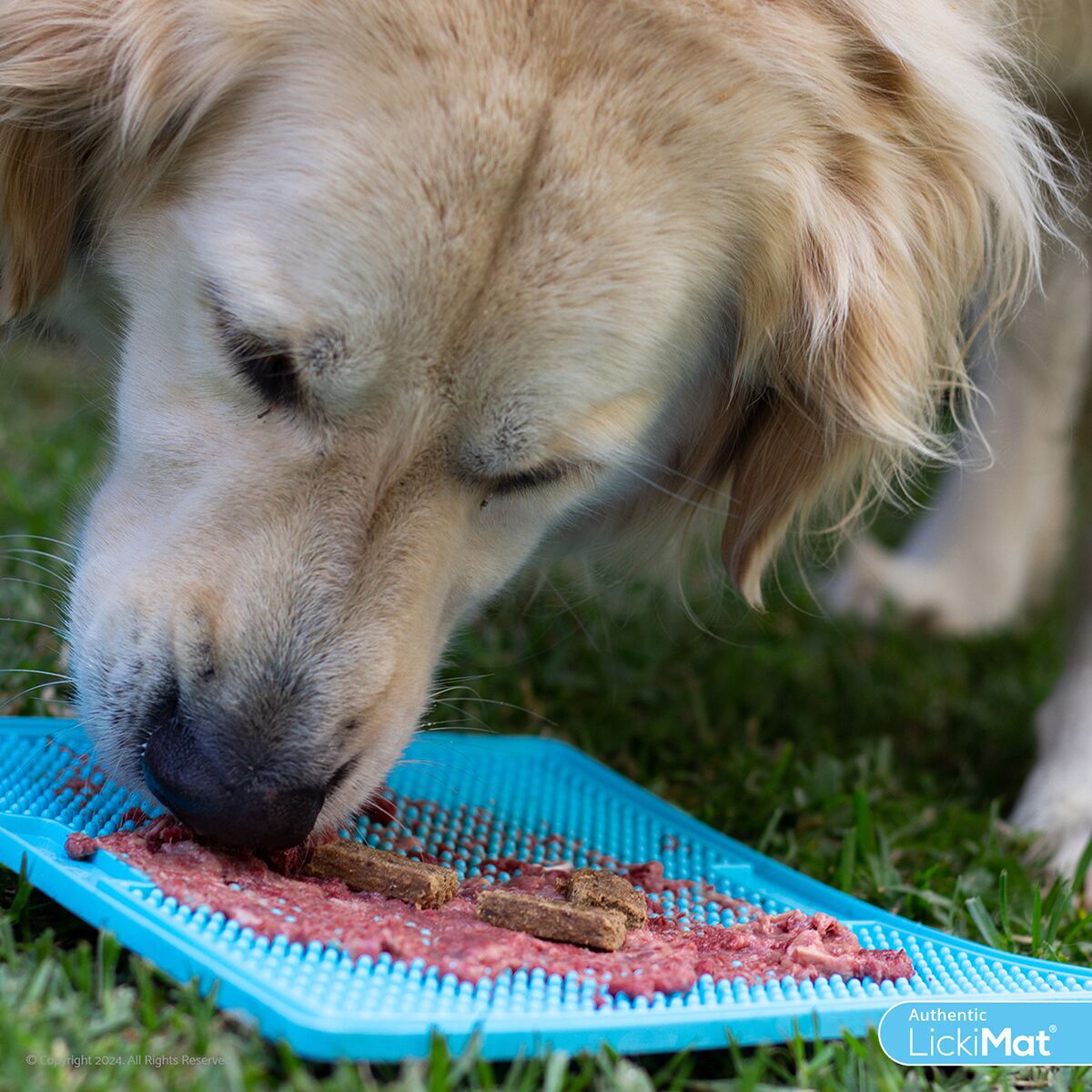 LickiMat Soother Classic Dog