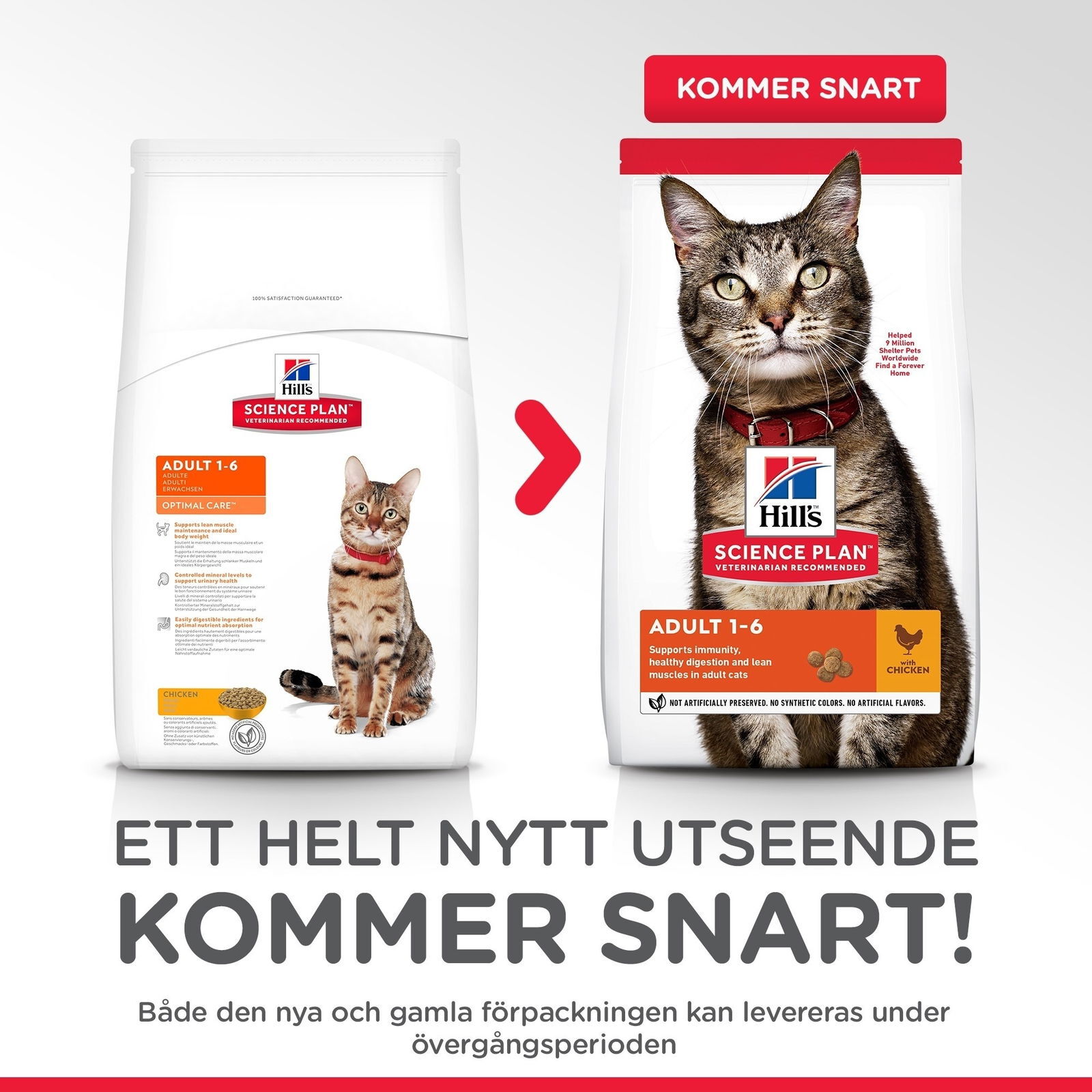 Hills Science Plan Feline Adult Chicken