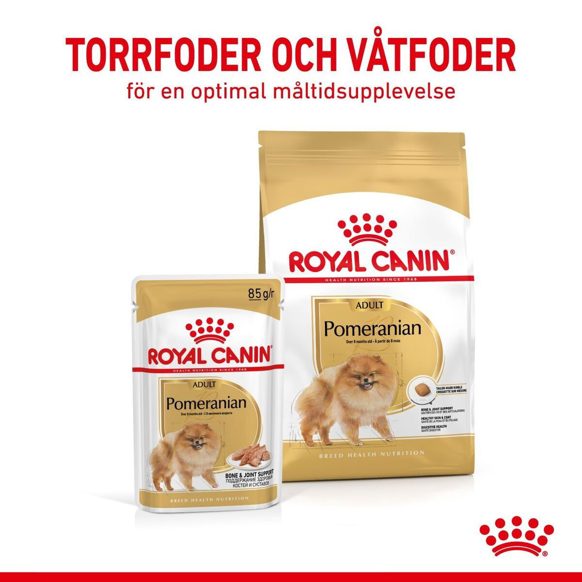 Royal Canin Pomeranian Adult dry food