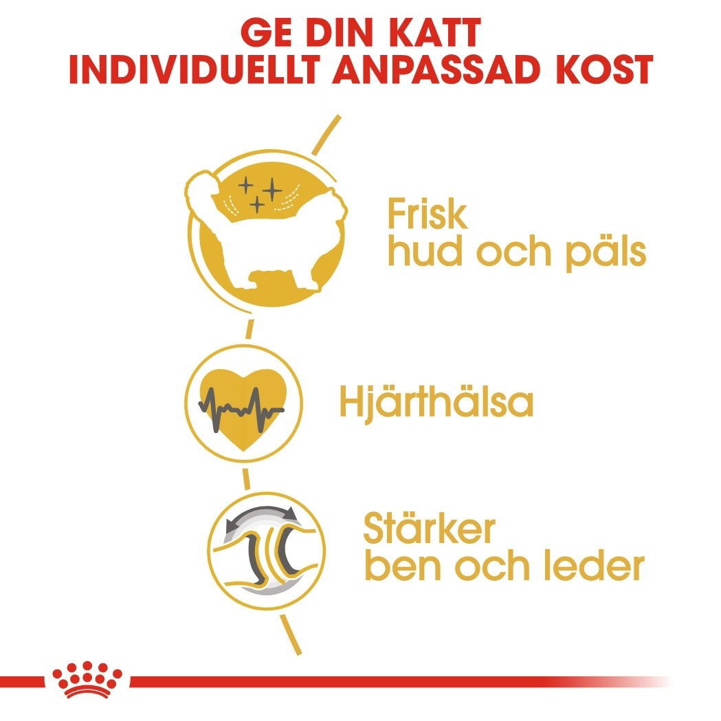 Royal Canin Ragdoll Adult torrfoder för katt