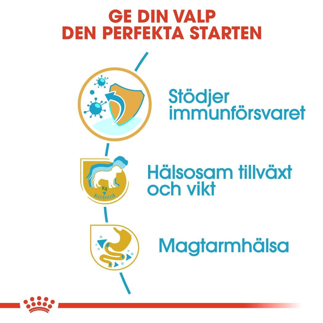 Royal Canin Labrador Retriever Puppy torrfoder för hundvalp