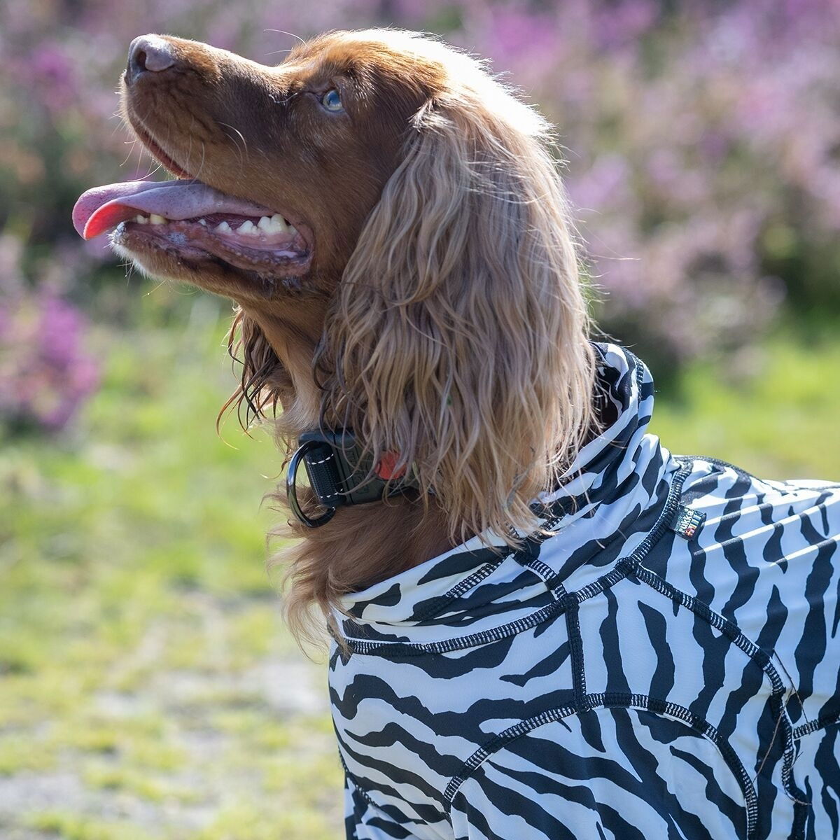 Rukka Zebra overall