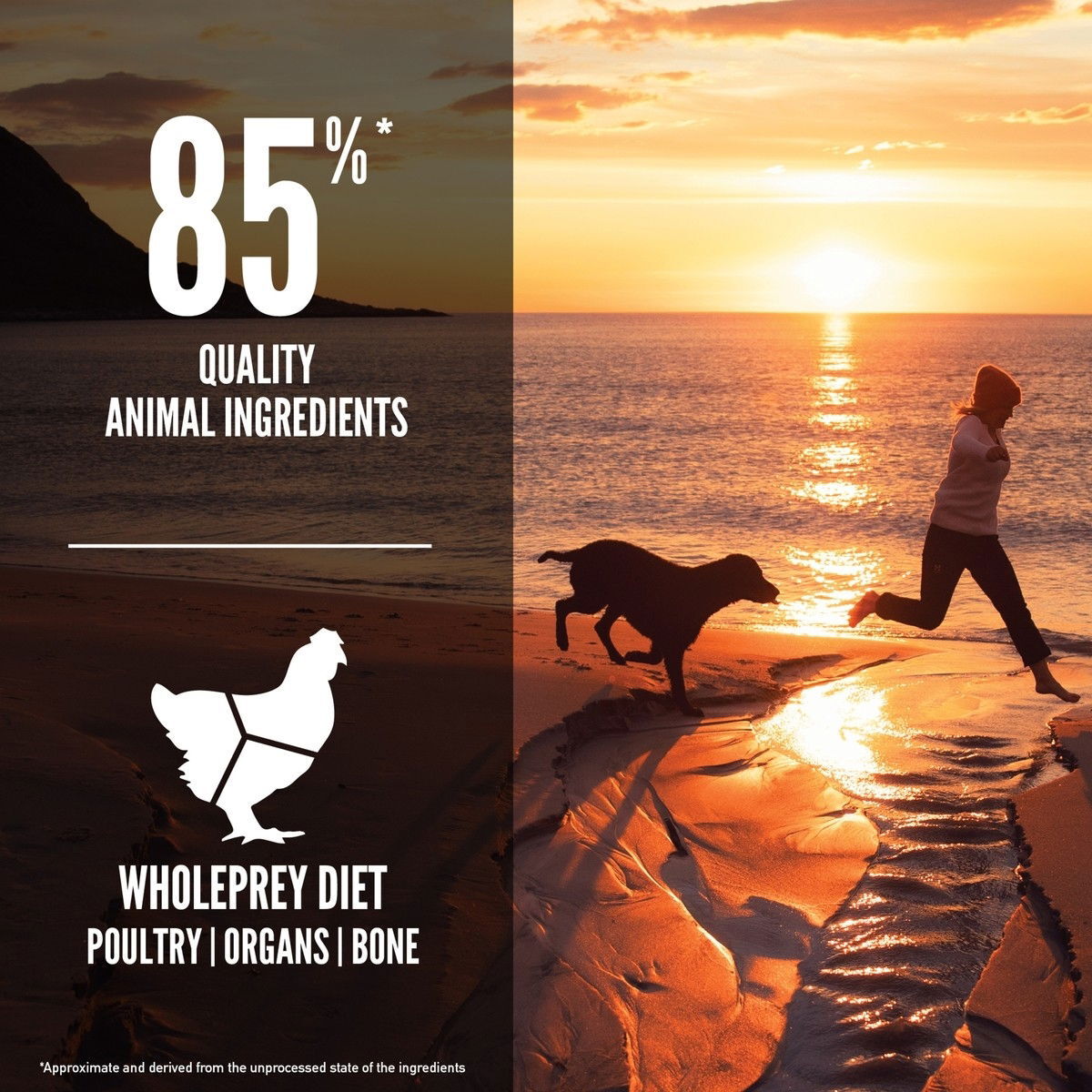 Orijen Dog Fit & Trim 