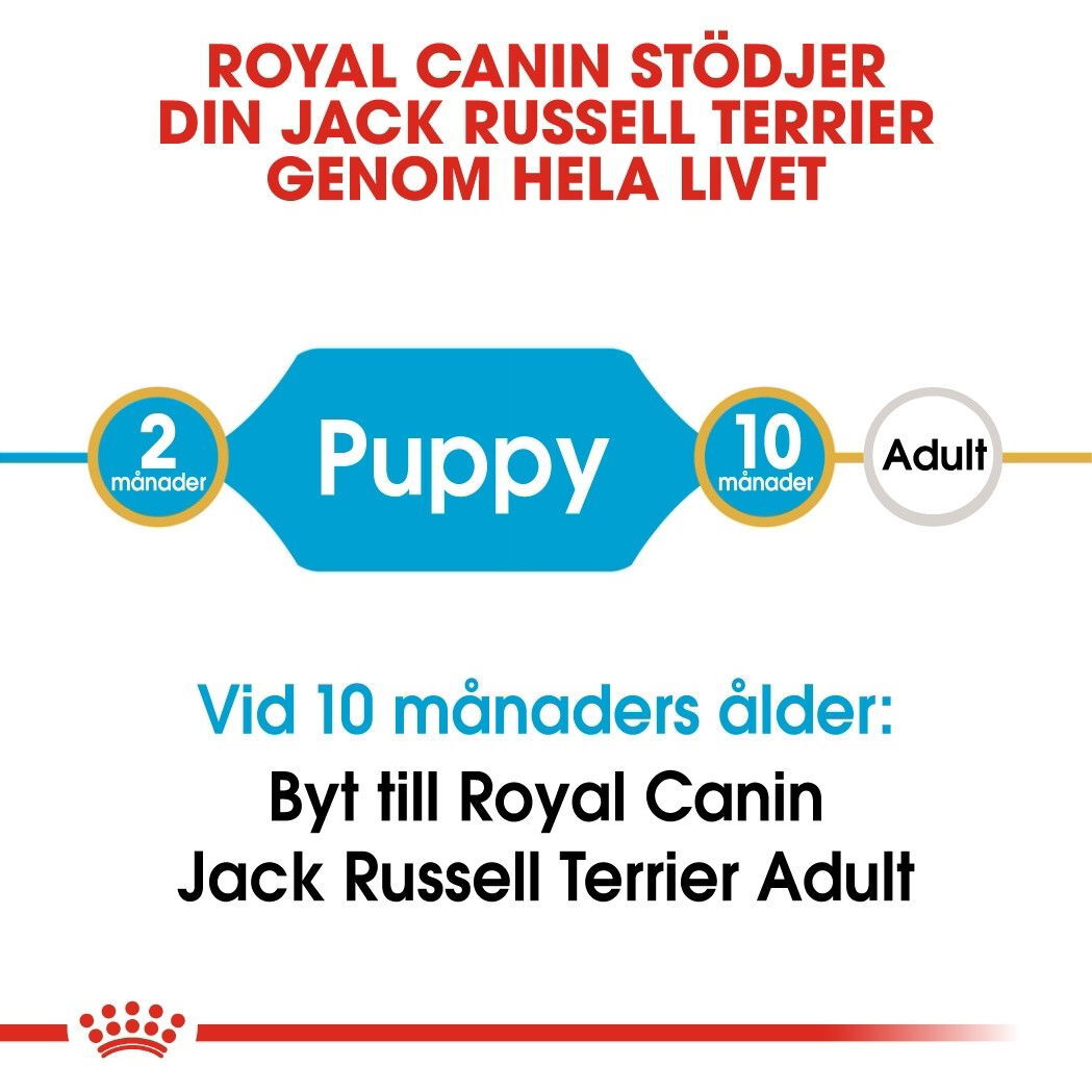 Royal Canin Jack Russel Puppy torrfoder för hundvalp