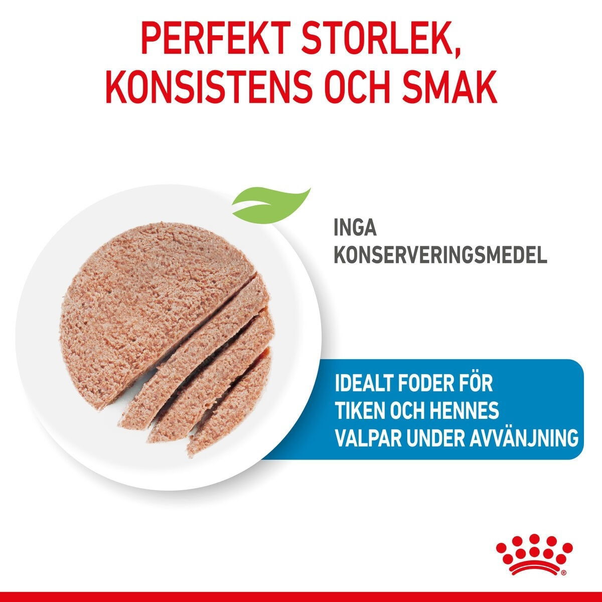 Royal Canin Mother & Babydog Starter Mousse våtfoder för hund och hundvalp