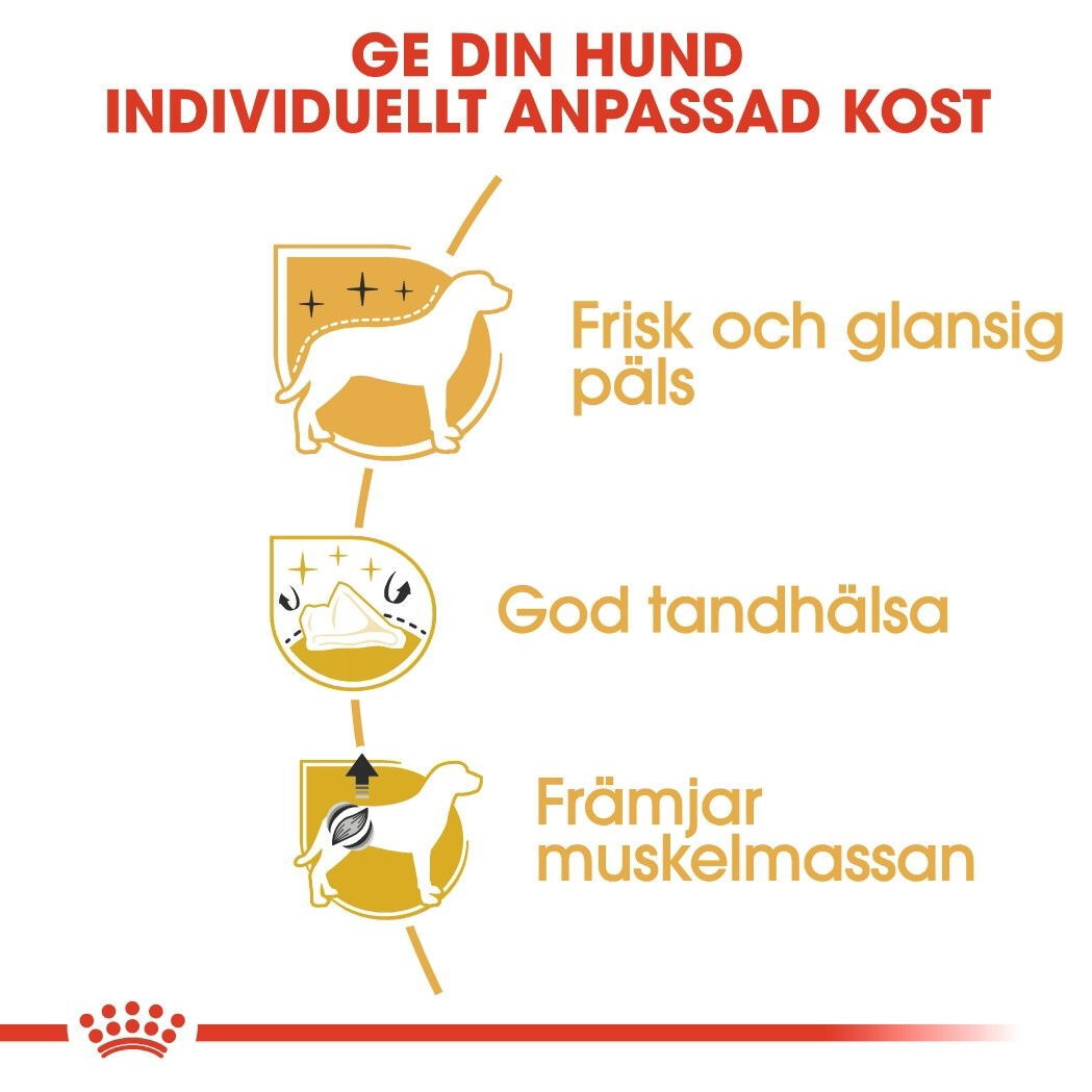 Royal Canin Poodle Adult torrfoder för hund