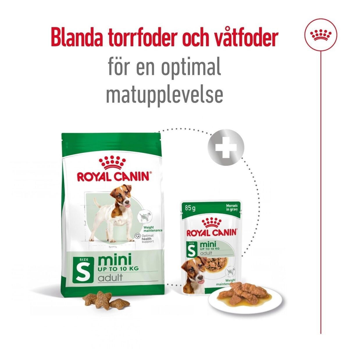 Royal Canin Mini Adult torrfoder för hund