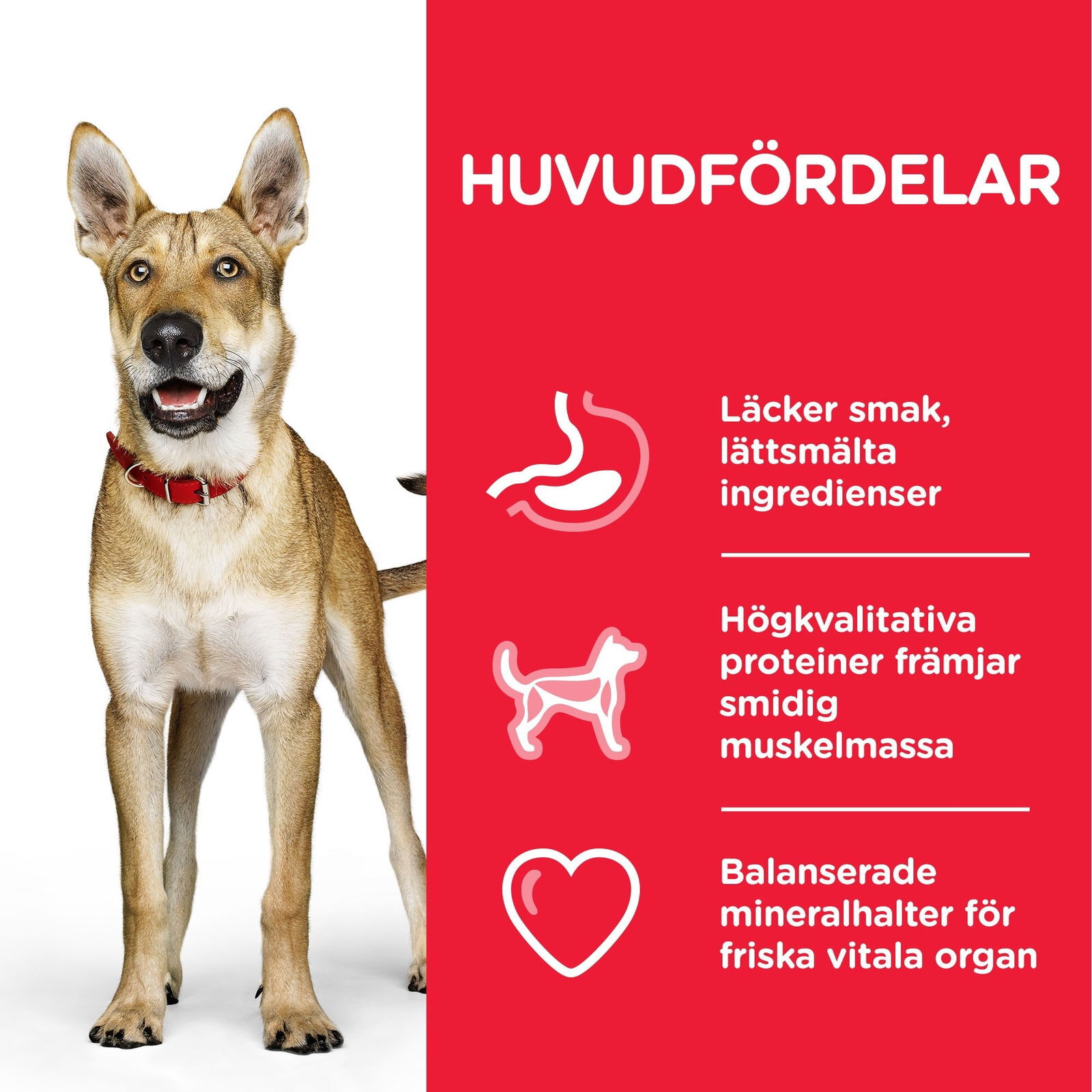 Hill's Science Plan Dog Adult Performance