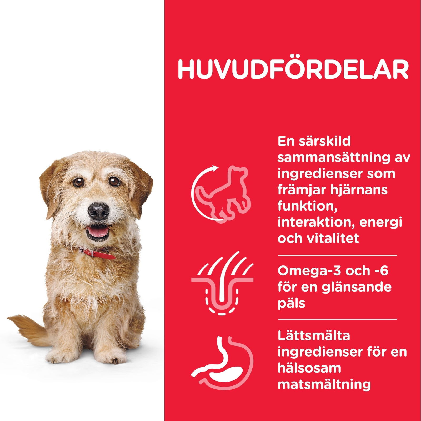 Hill's Science Plan Dog Senior Vitality Small & Mini