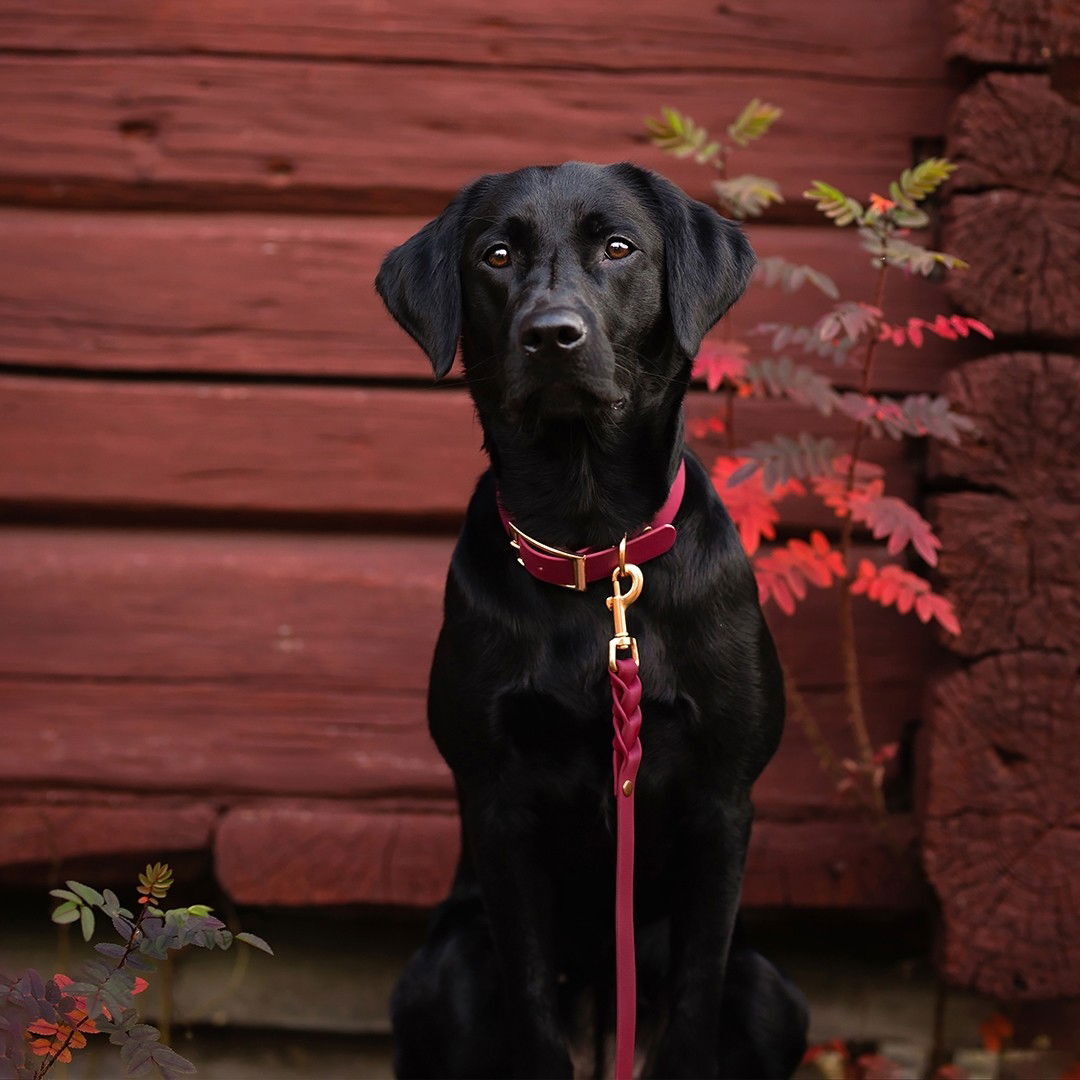 Tyylivoitto Classy collar burgundy