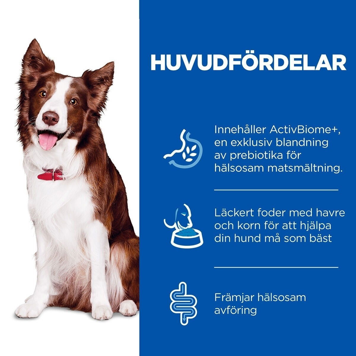 Hill's SP Canine Digestion Adult 1+ 363g