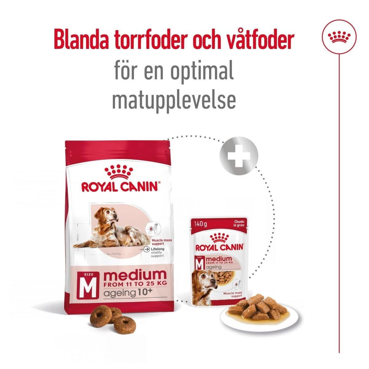 Royal Canin Medium Ageing 10+ torrfoder för hund