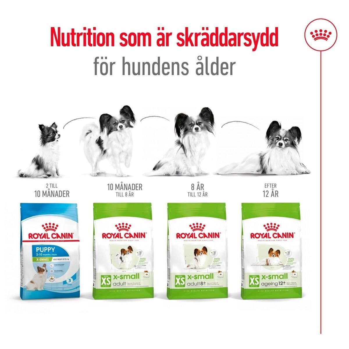 Royal Canin X-small Ageing 12+ torrfoder för hund