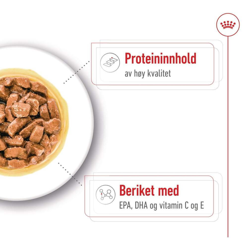 Royal Canin Medium Ageing Gravy våtfoder för hund